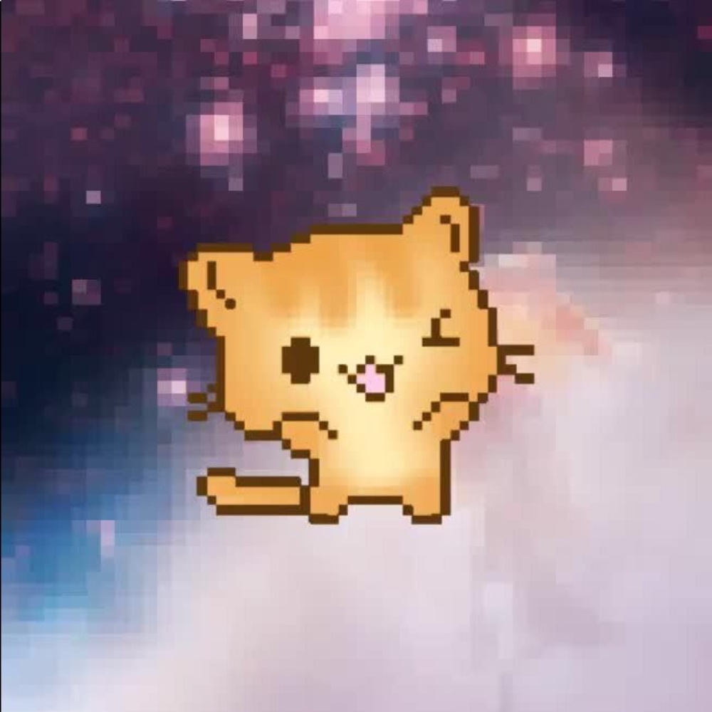 Meet your Posher, Joselyn